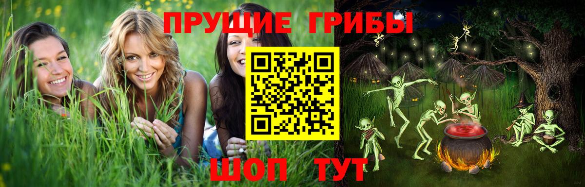 Галлюциногенные грибы GOLDEN TEACHER  Вход с VPN  Каменск-Шахтинский  Псилоцибиновые грибы прущие грибы 